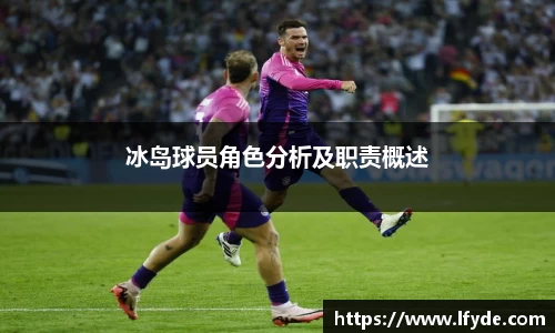 冰岛球员角色分析及职责概述
