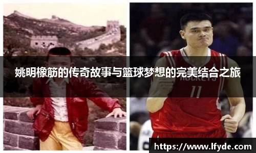 姚明橡筋的传奇故事与篮球梦想的完美结合之旅